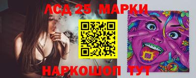 mdpv Новодвинск