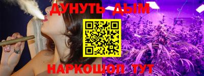 mdpv Новодвинск